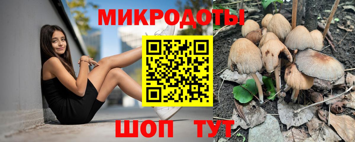 Отрадное  Псилоцибиновые грибы MAGIC MUSHROOMS  Вход с VPN 